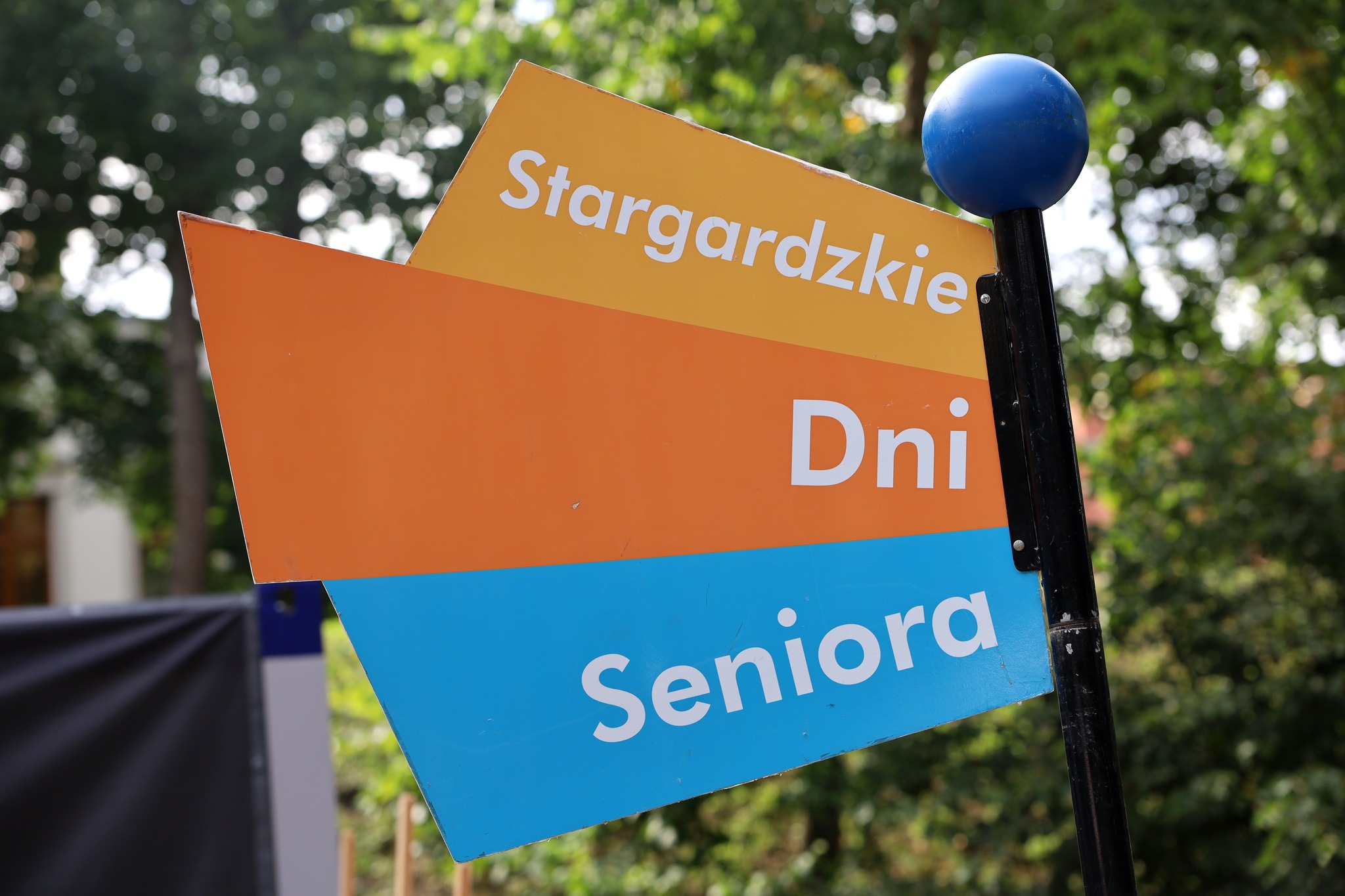 Parada_seniorów_2025_63