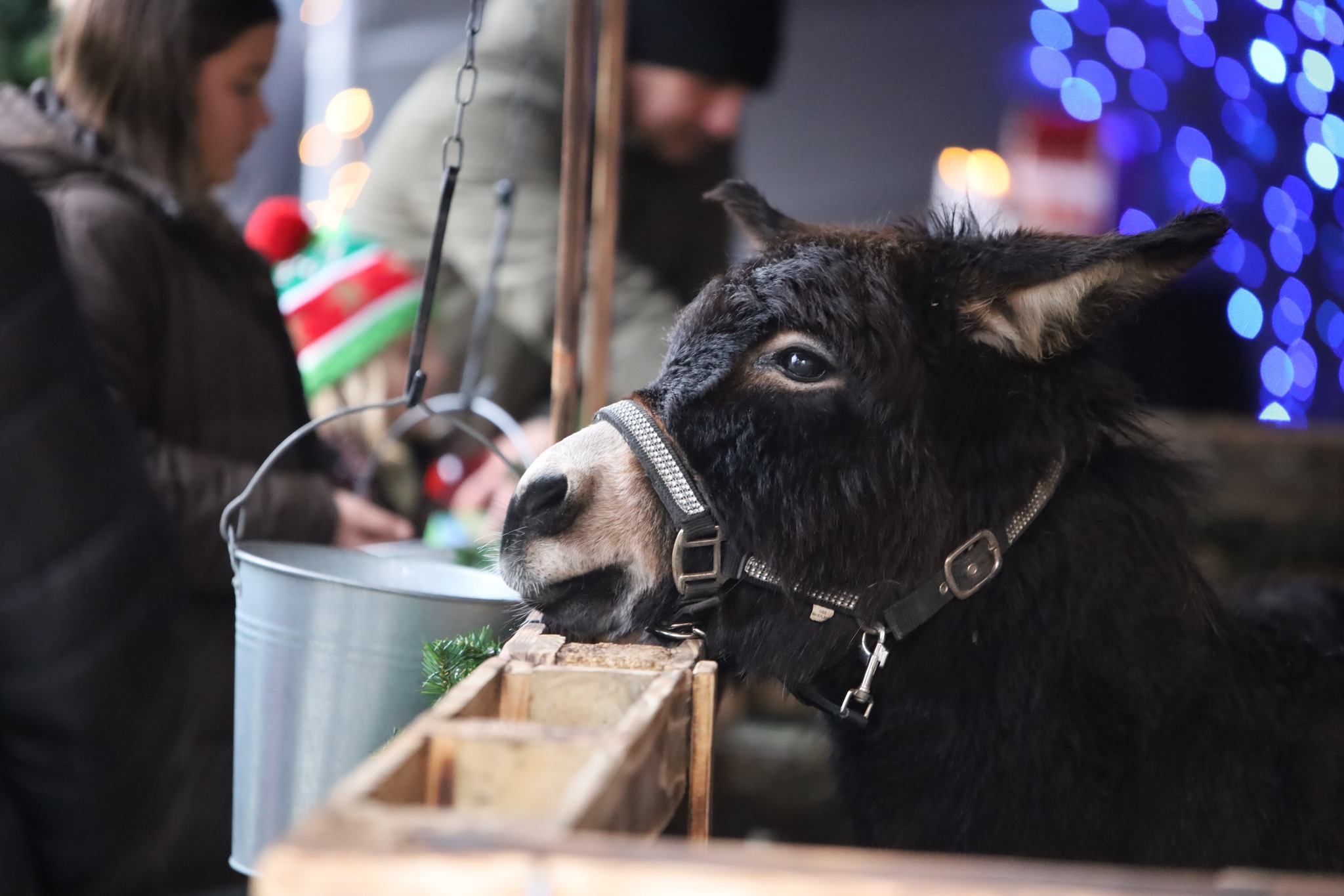 jarmark_swiateczny_2025_dzien_pierwszy_7