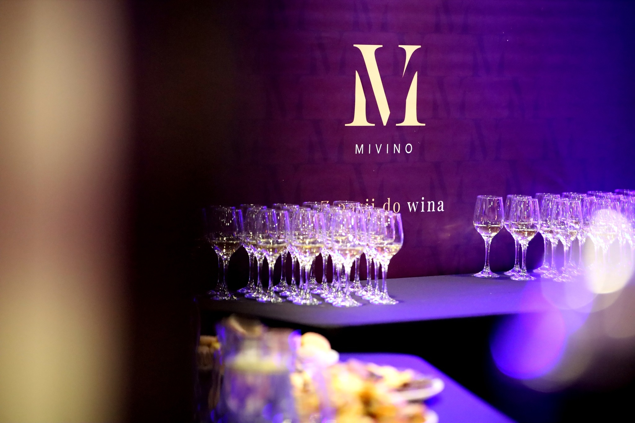 wystawa Katarzyny Starkowskiej_19022026_6